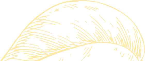 Leaf illustration