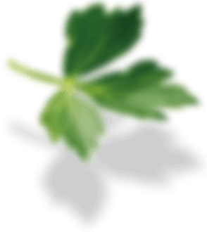 Leaf decoration